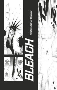 Bleach - T13 - Chapitre 110