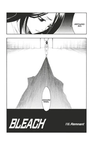 Bleach - T13 - Chapitre 115