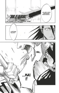 Bleach - T17 - Chapitre 141