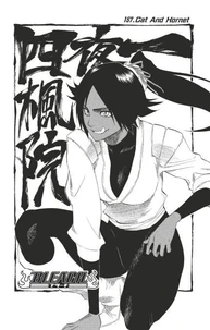 Bleach - T18 - Chapitre 157