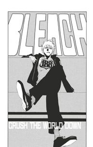 Bleach - T22 - Chapitre 188