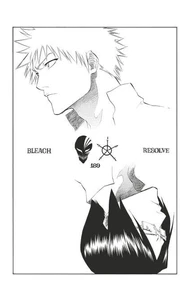 Bleach - T22 - Chapitre 189