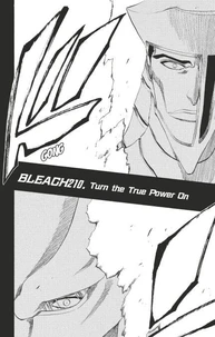 Bleach - T24 - Chapitre 210