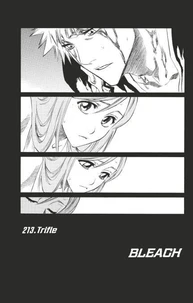 Bleach - T24 - Chapitre 213