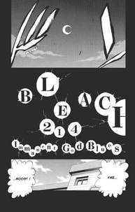 Bleach - T24 - Chapitre 214