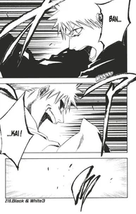Bleach - T25 - Chapitre 219
