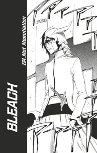 Bleach - T27 - Chapitre 234