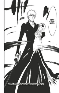Bleach - T29 - Chapitre 253