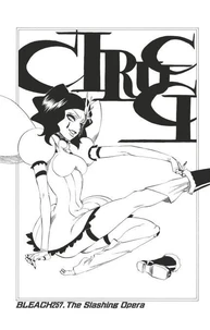 Bleach - T29 - Chapitre 257