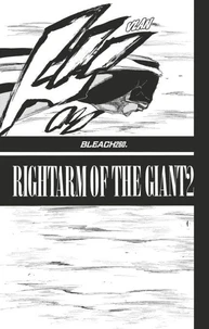 Bleach - T29 - Chapitre 260