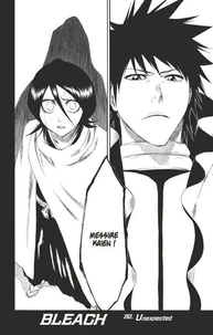 Bleach - T30 - Chapitre 263