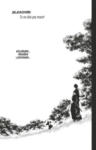 Bleach - T30 - Chapitre 268