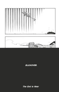 Bleach - T30 - Chapitre 269