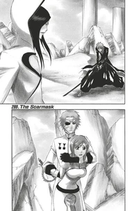 Bleach - T33 - Chapitre 289