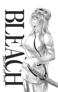 Bleach - T33 - Chapitre 293