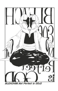 Bleach - T35 - Chapitre 306