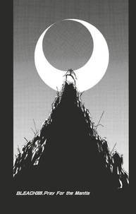 Bleach - T35 - Chapitre 309