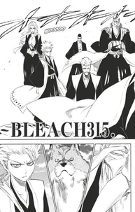 Bleach - T35 - Chapitre 315