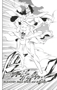 Bleach - T37 - Chapitre 321