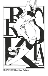 Bleach - T42 - Chapitre 362