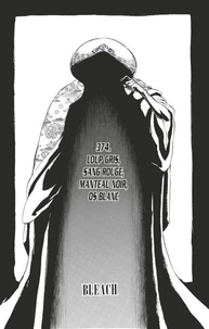 Bleach - T43 - Chapitre 374