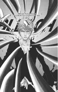 Bleach - T45 - Chapitre 388