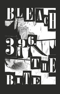 Bleach - T46 - Chapitre 396
