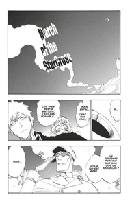Bleach - T55 - Chapitre 489