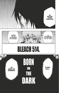 Bleach - T58 - Chapitre 514