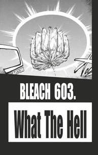 Bleach - T67 - Chapitre 603
