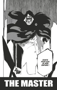 Bleach - T67 - Chapitre 607