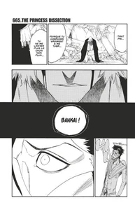 Bleach - T73 - Chapitre 665