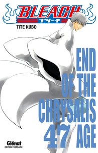 Bleach Tome 47