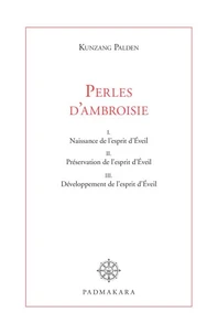 Perles d'ambroisie Coffret en 3 volumes : Tome 1, Naissance de l'esprit d'Eveil ; Tome 2, Préservation de l'esprit d'Eveil ; Tome 3, Développement de l'esprit d'Eveil