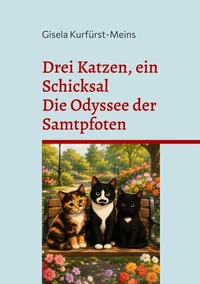 Drei Katzen, ein Schicksal