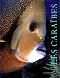 Les Caraïbes