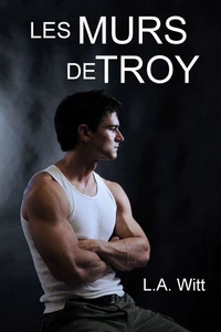 Les Murs de Troy