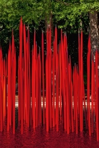  L.GROARKE JOANNA - Chihuly : forms in nature.