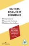Gilles Teneau - Cahiers risques et résilience N° 6, mars 2024 : Résilience des petites et moyennes entreprises.
