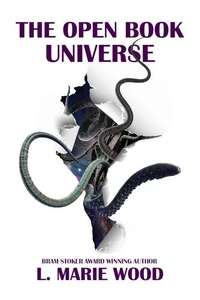 The Open Book Universe