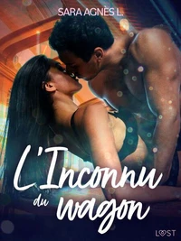 L'Inconnu du wagon – Une nouvelle érotique