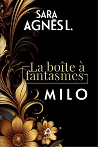 La boite à fantasmes
