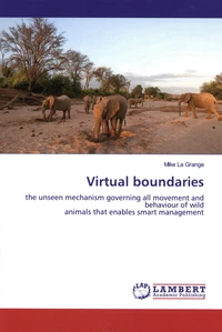 Virtual boundaries
