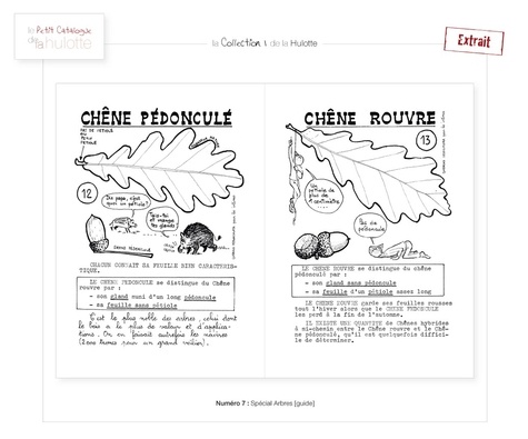 La Hulotte N° 7 Spécial arbres