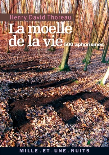 La Moelle de la vie. 500 Aphorismes