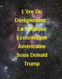 L'ère Du Dérèglement : La Politique Économique Américaine Sous Donald Trump