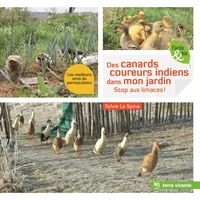 Des canards coureurs indiens dans mon jardin