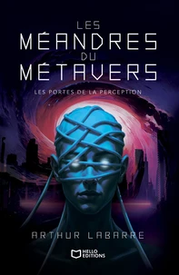 Les méandres du métavers