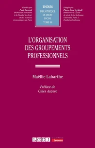 L'organisation des groupements professionnels