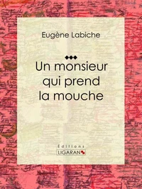 Un monsieur qui prend la mouche